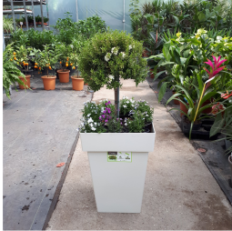 ГРИН ПЛАНЕТ